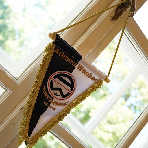 120 Jahre Wimpel groß